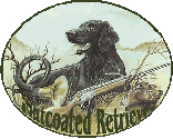 FlatcoatedRetriever - Mailinglist